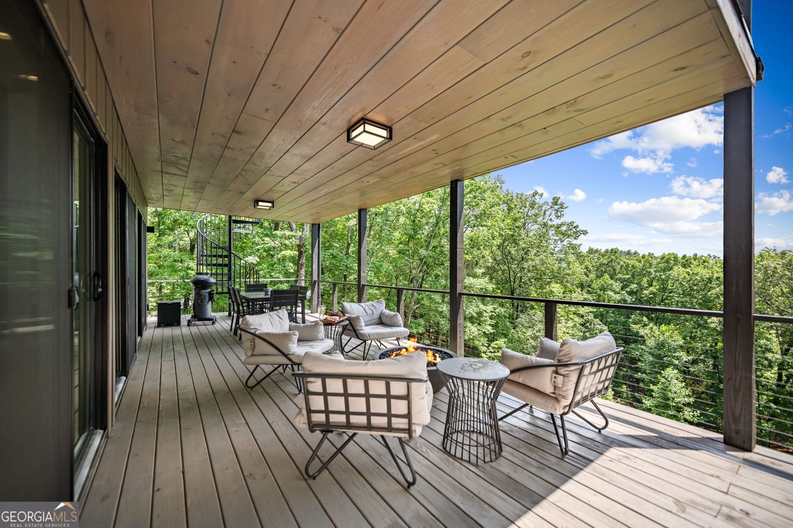 880 Little Bushy Head Road Blue Ridge - 32