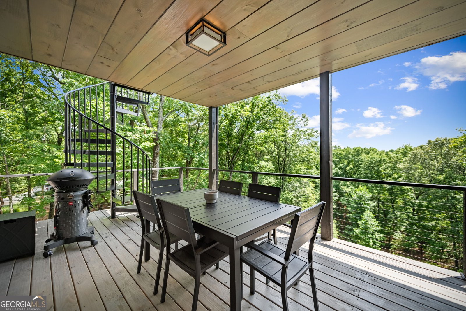 880 Little Bushy Head Road Blue Ridge - 34