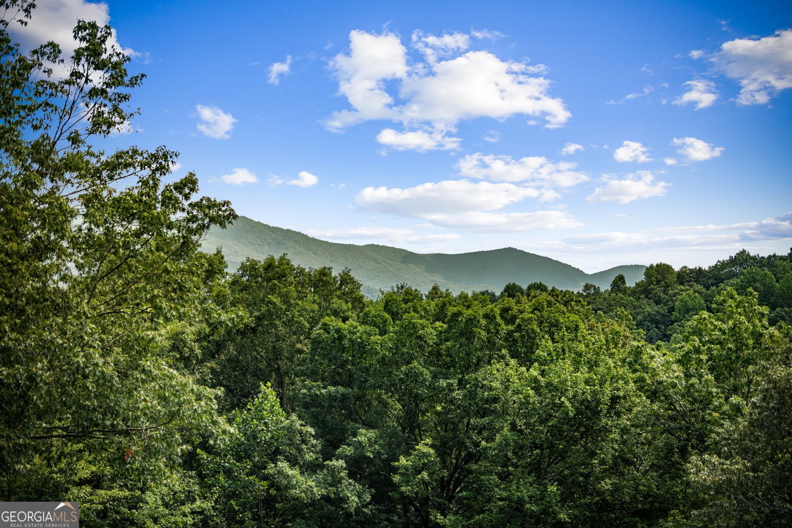 880 Little Bushy Head Road Blue Ridge - 43