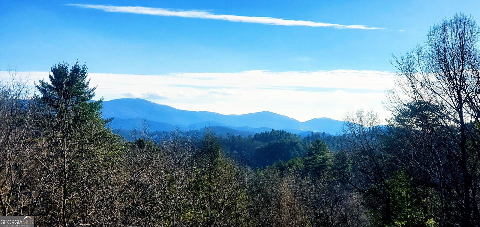 880 Little Bushy Head Road Blue Ridge - 45