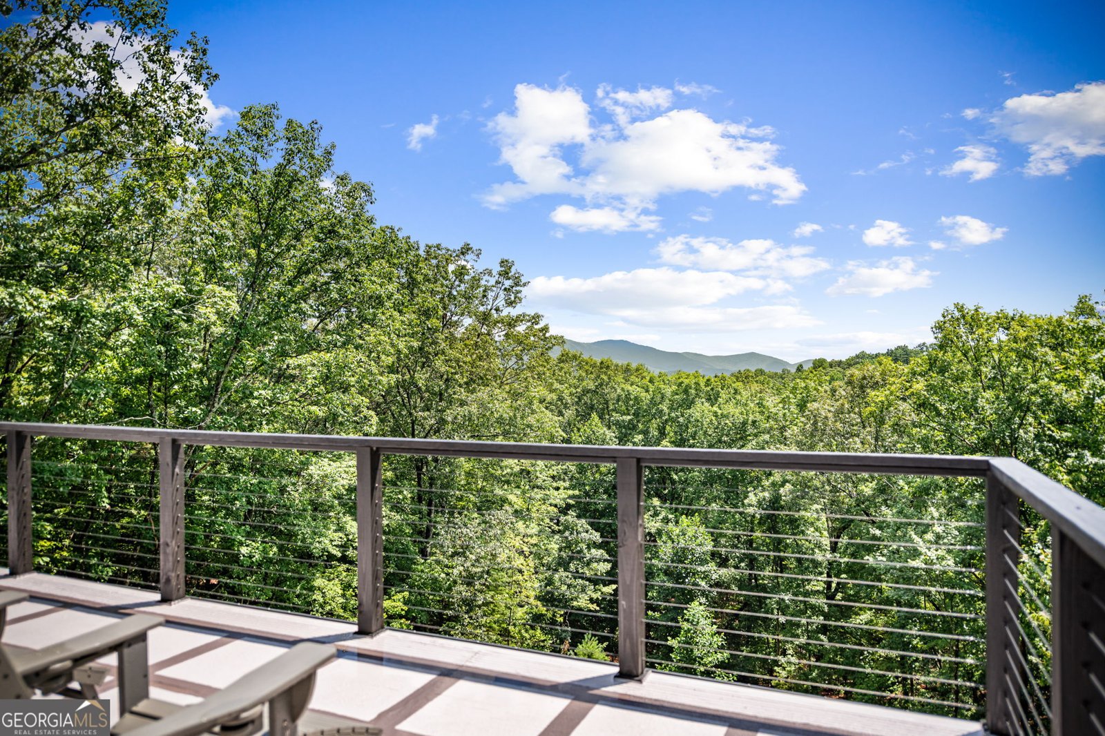 880 Little Bushy Head Road Blue Ridge - 46