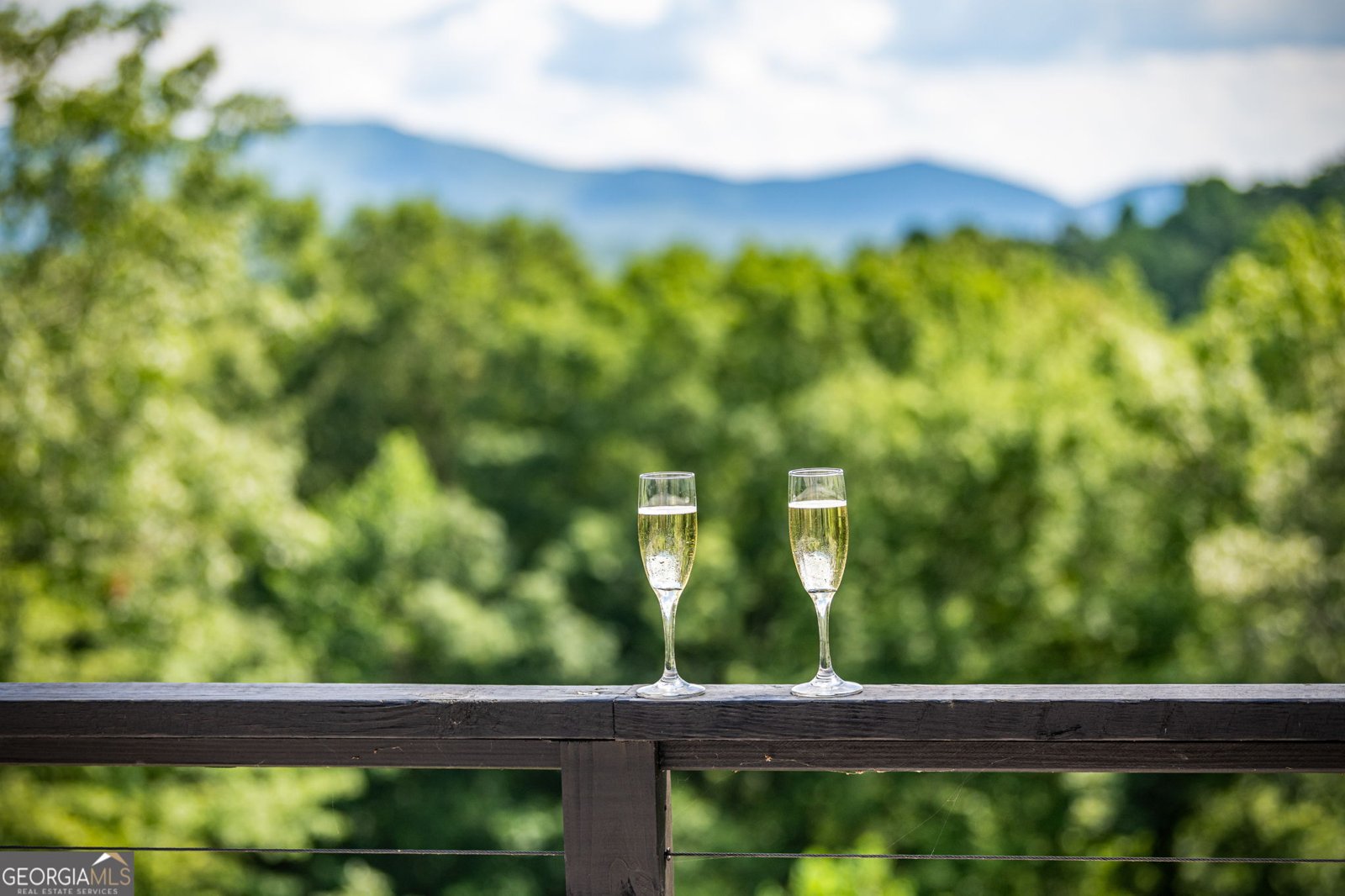 880 Little Bushy Head Road Blue Ridge - 47