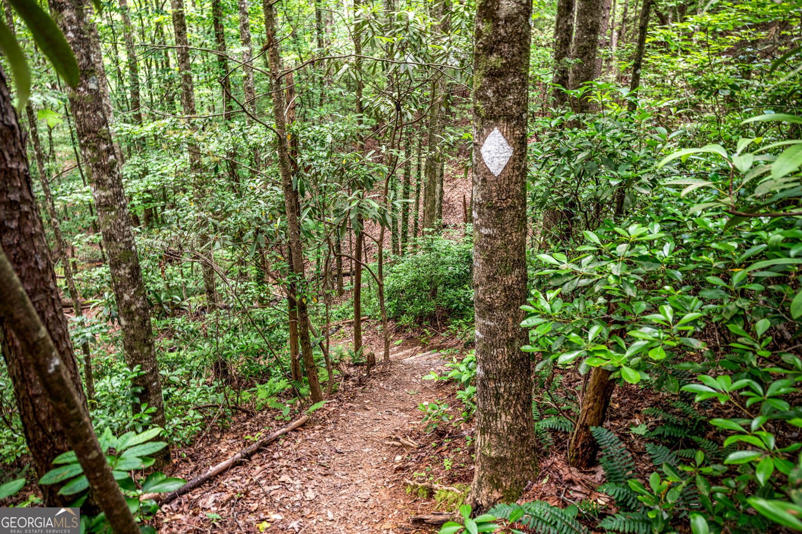 880 Little Bushy Head Road Blue Ridge - 48