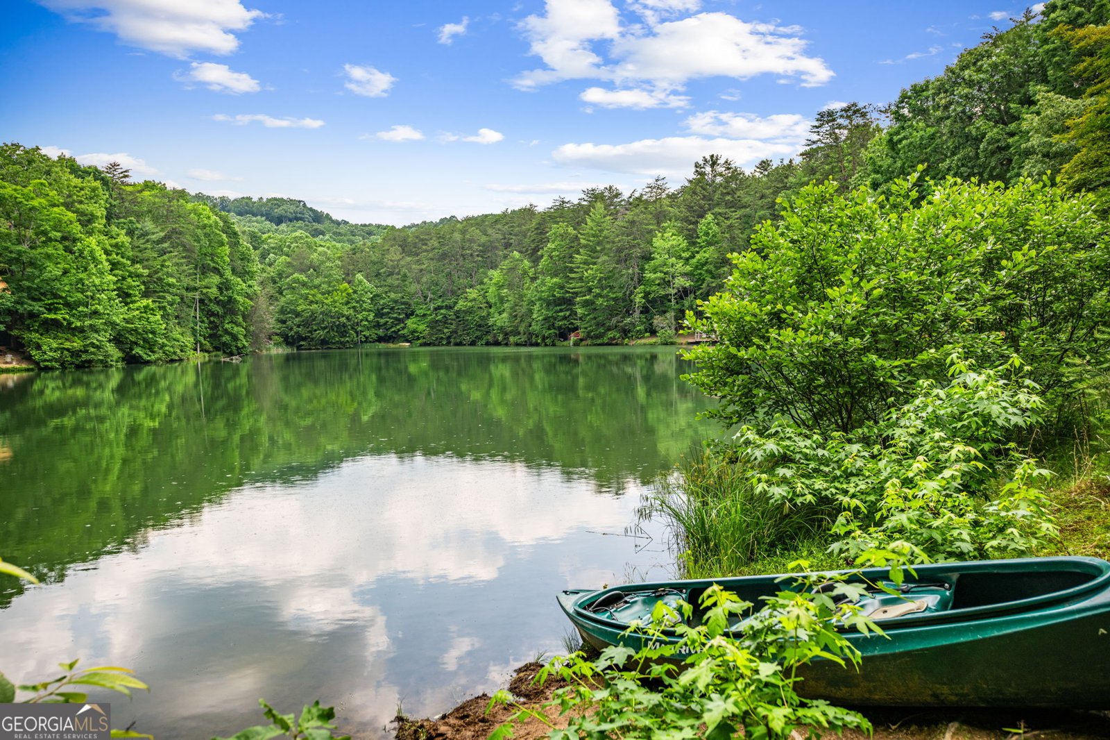 880 Little Bushy Head Road Blue Ridge - 49