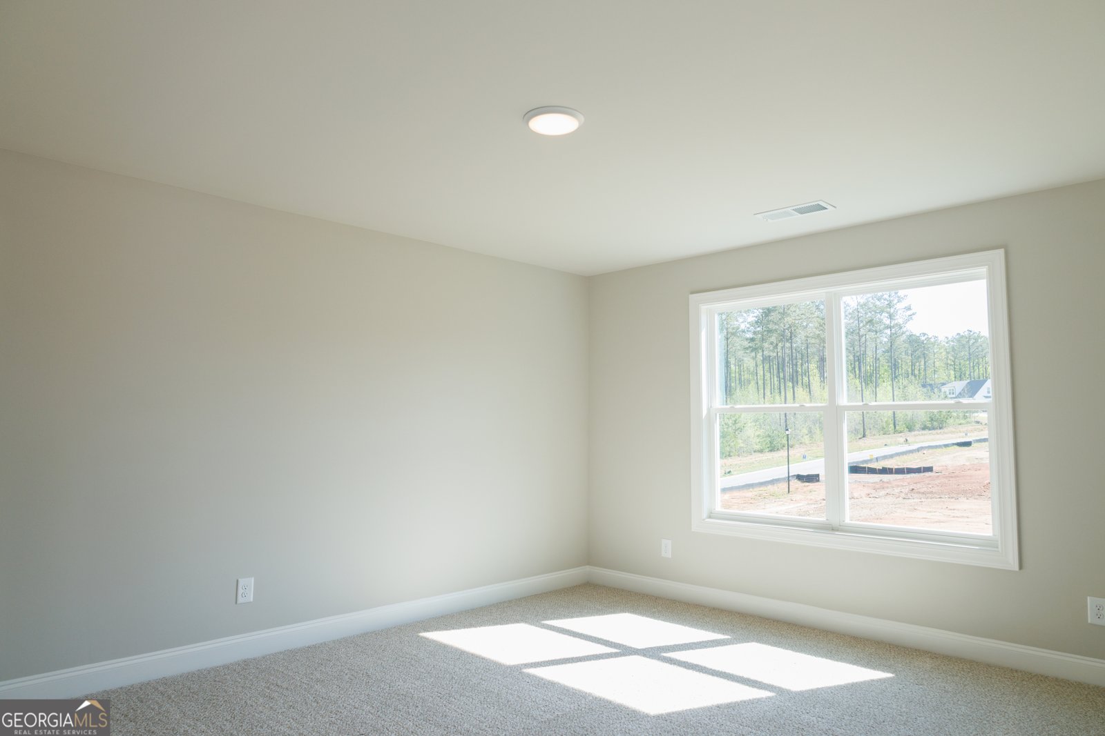 310 Atlantica Drive Newnan - 32