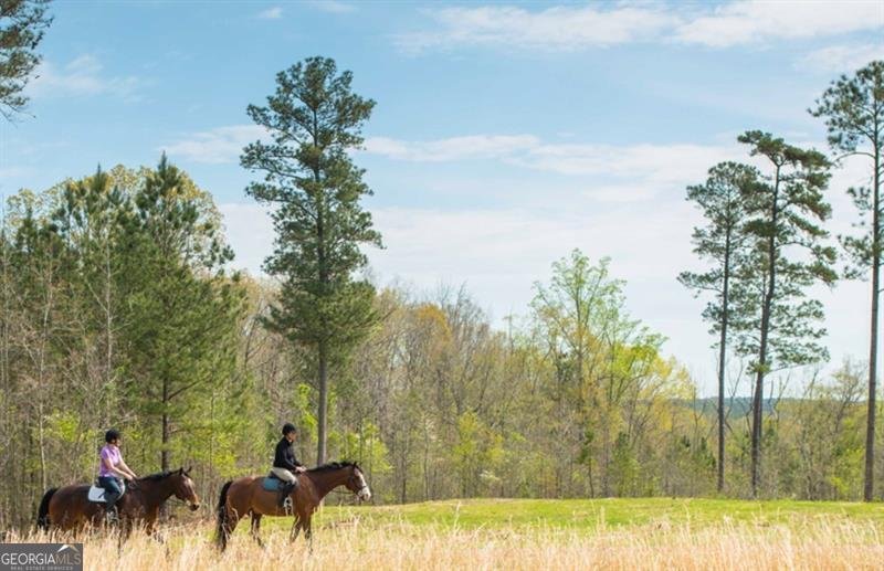 1081 Apalachee Ridge Madison - 118