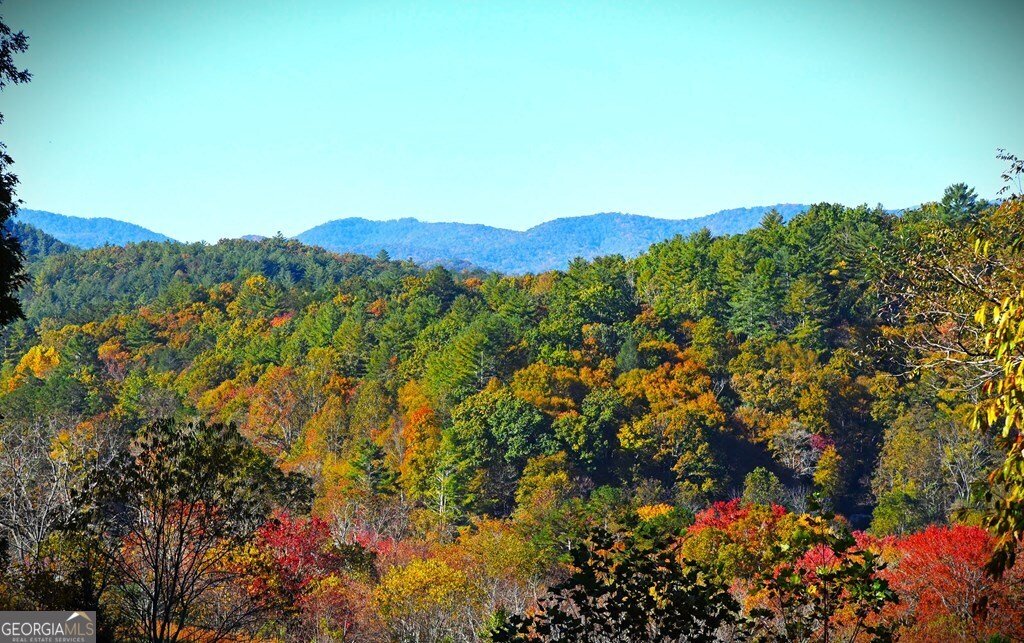160 Mountain Field Drive Blue Ridge - 43