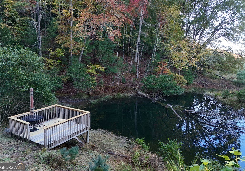 160 Mountain Field Drive Blue Ridge - 8