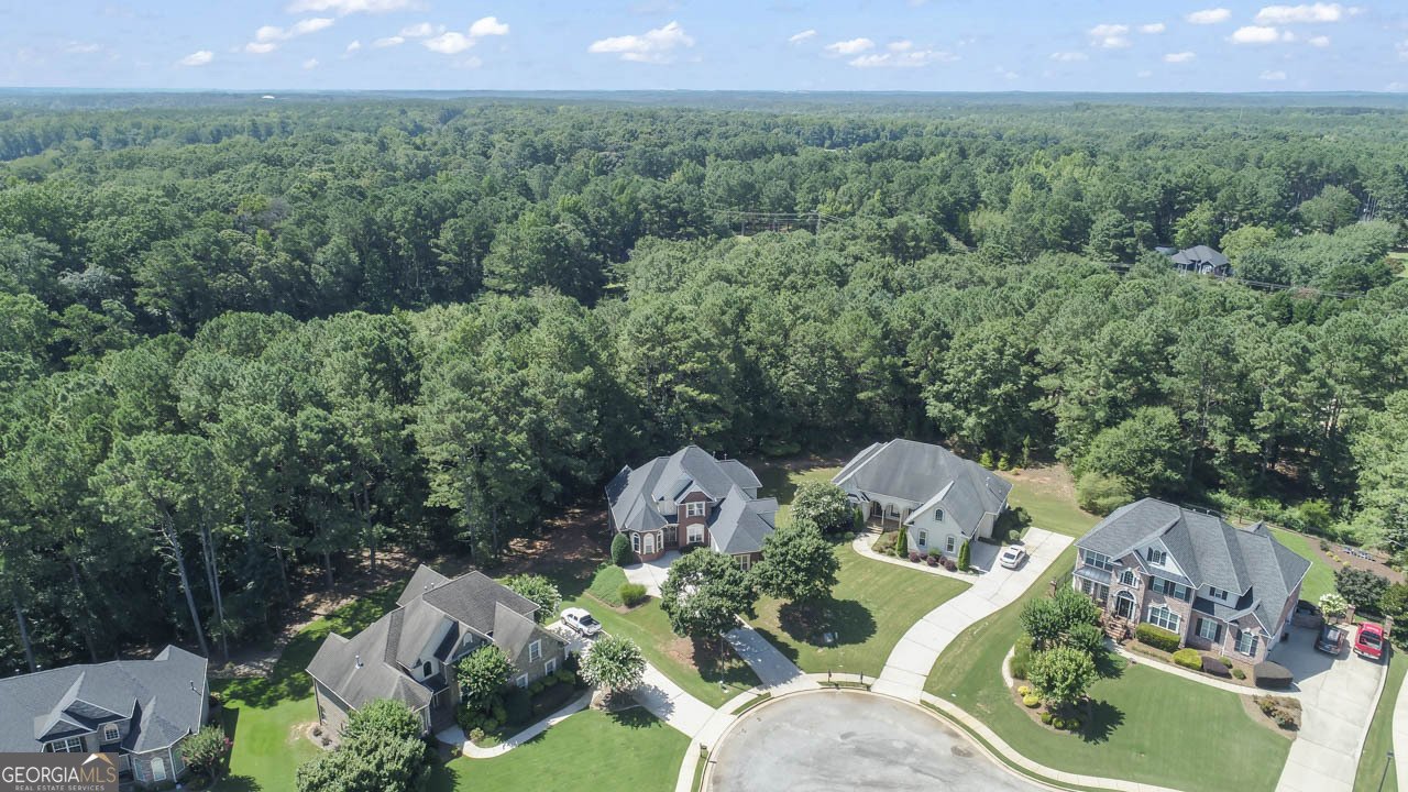 1258 McAllistar Drive Locust Grove - 3