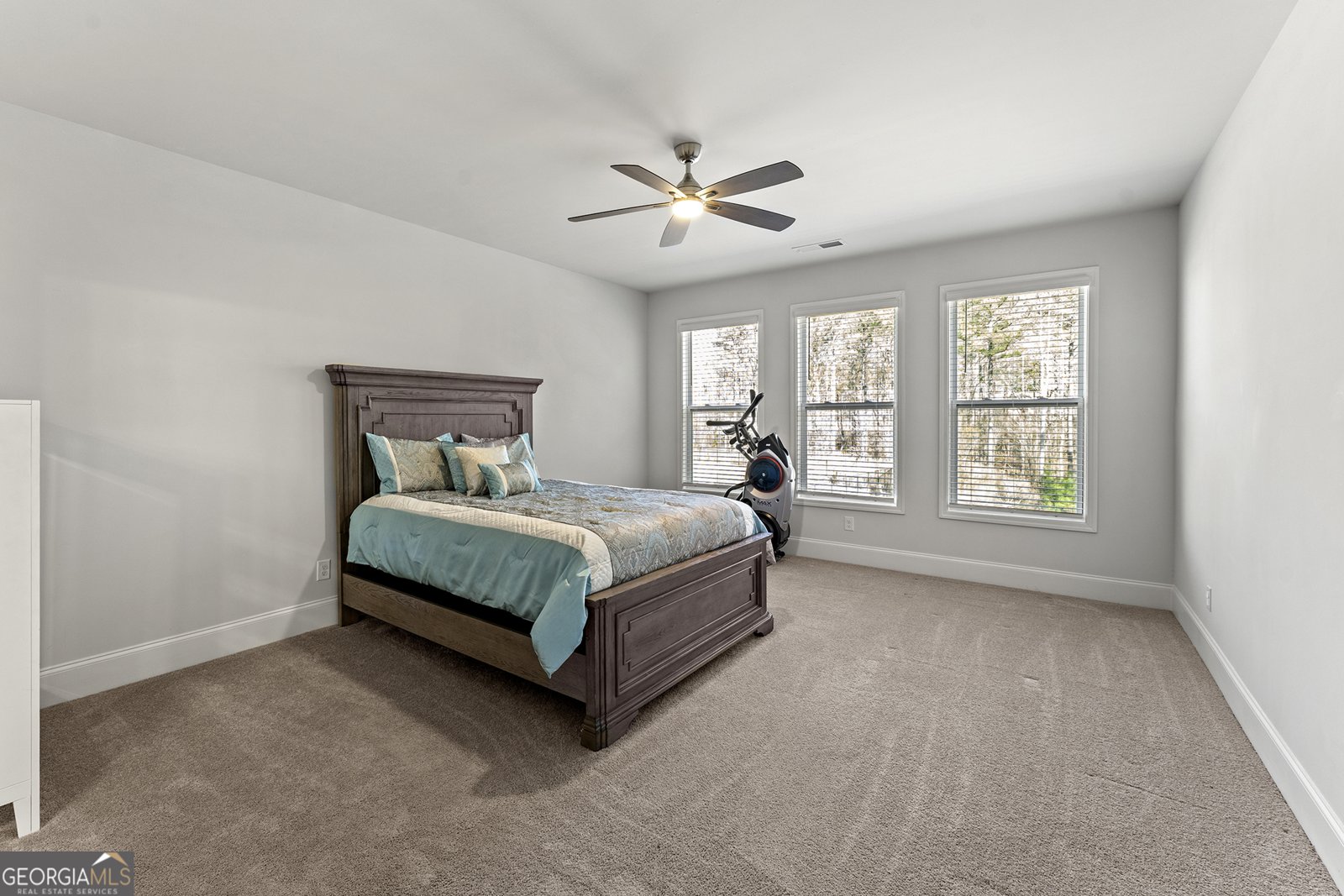 20 Sunflower Drive Newnan - 18