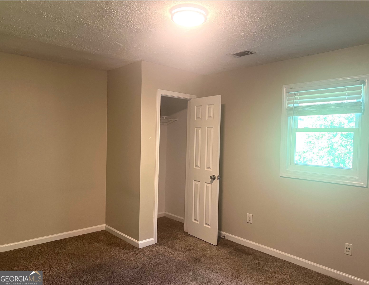 115 Belmont Farms Drive Ellenwood - 10