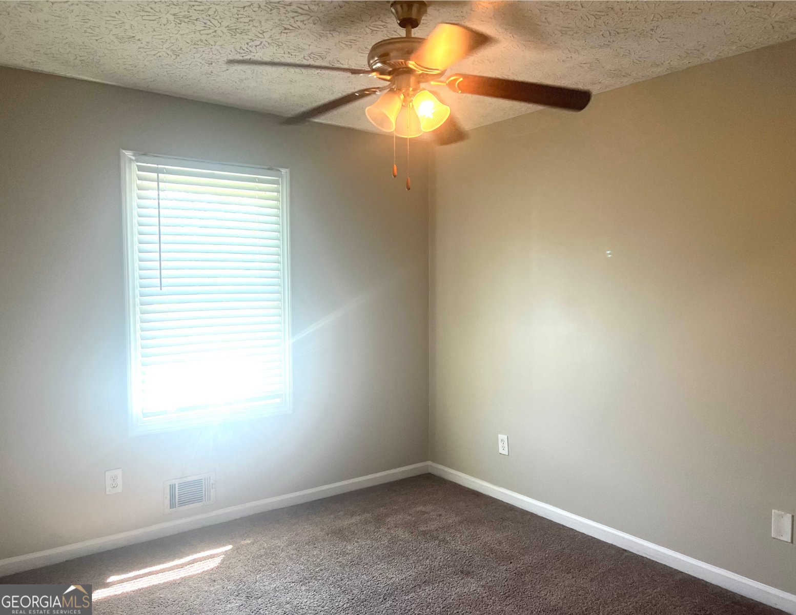 115 Belmont Farms Drive Ellenwood - 13
