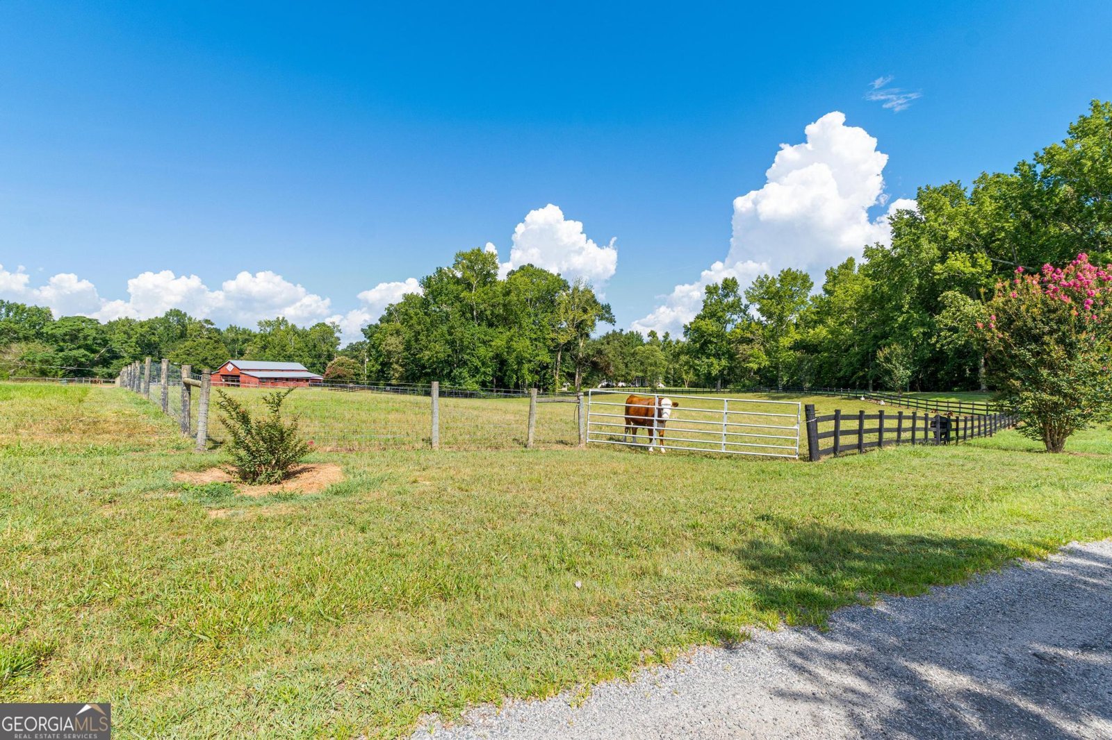 764 Imlac Road Woodbury - 22
