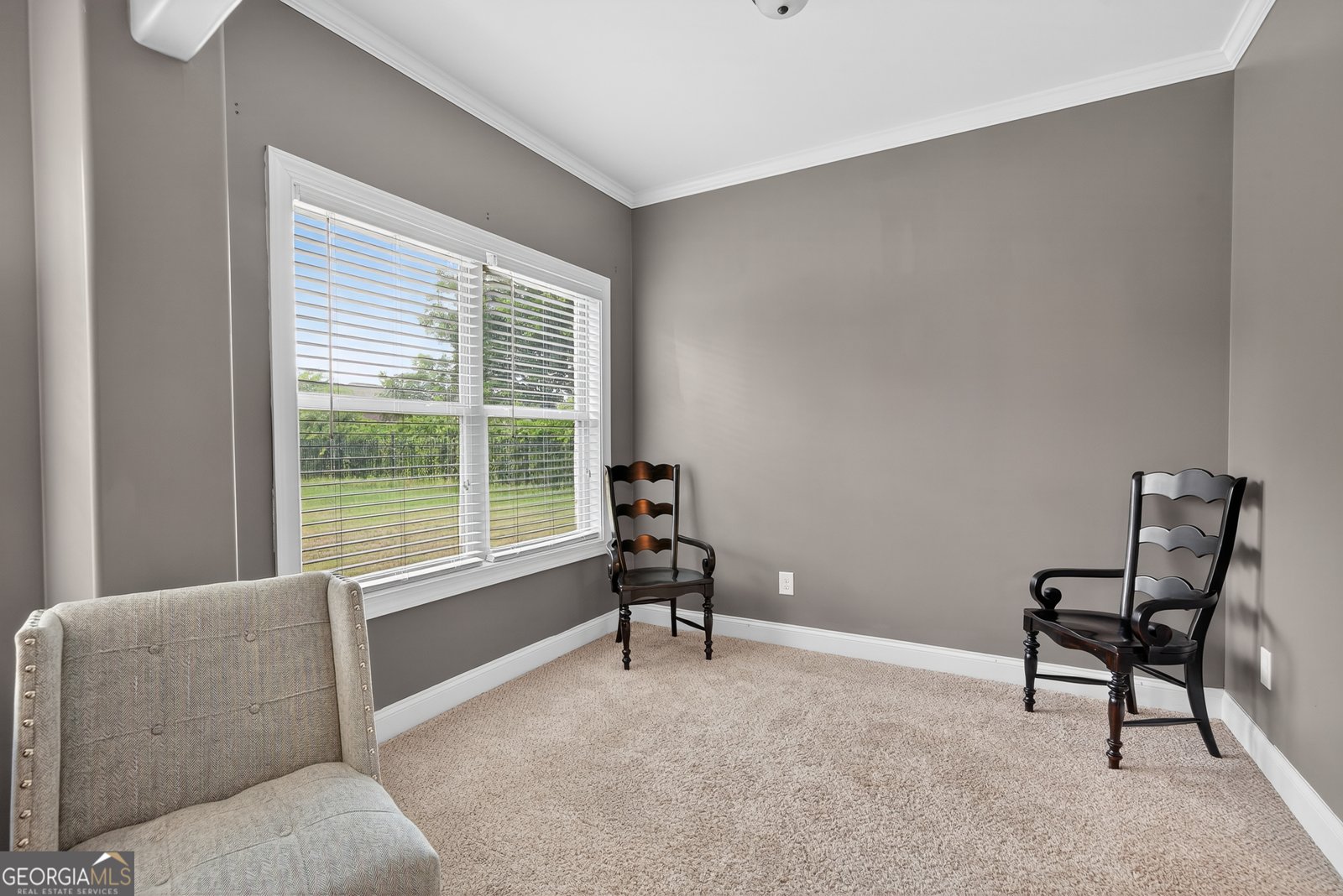 344 Thoroughbred Lane Macon - 23