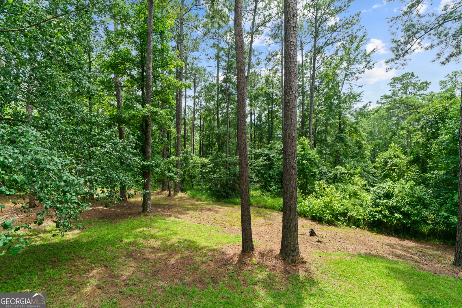 128 Wimbledon Lane Macon - 62