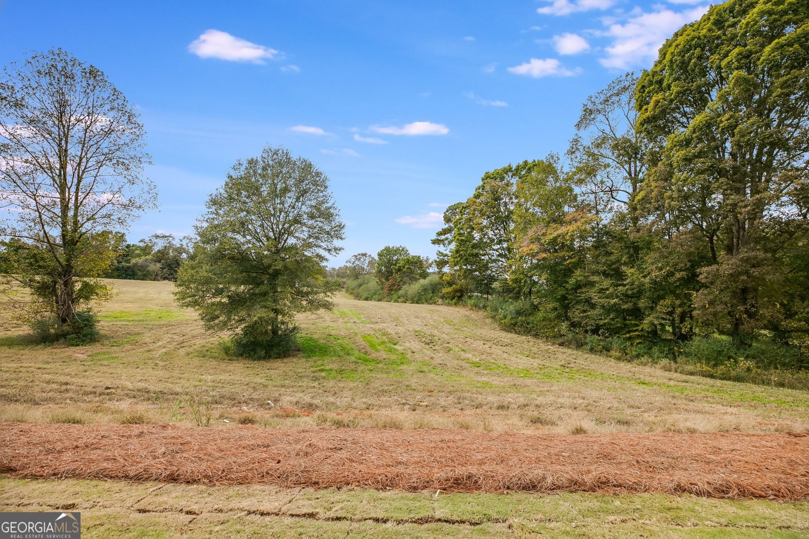 3356 Veal Street Roopville - 38