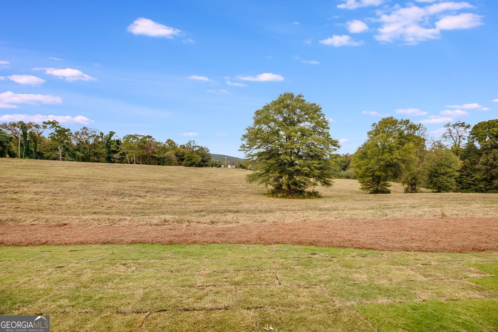 3356 Veal Street Roopville - 40