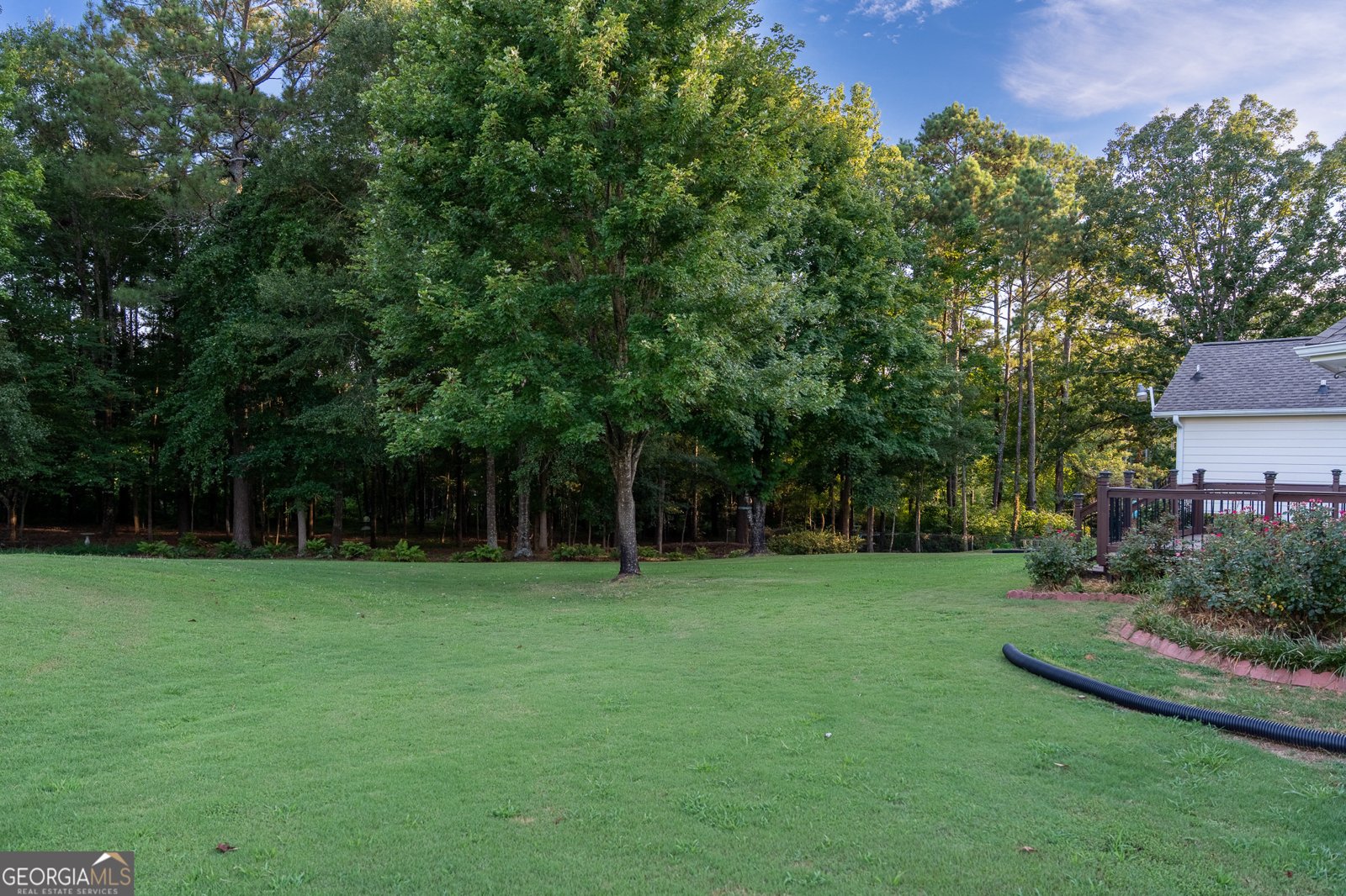 5380 Gum Creek Court Loganville - 29