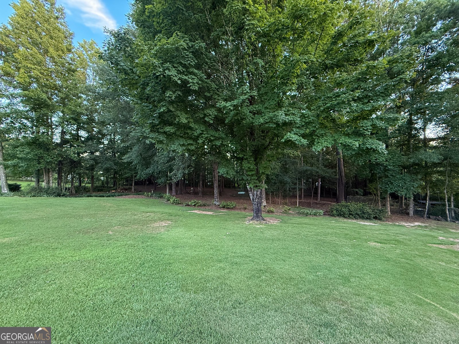 5380 Gum Creek Court Loganville - 30