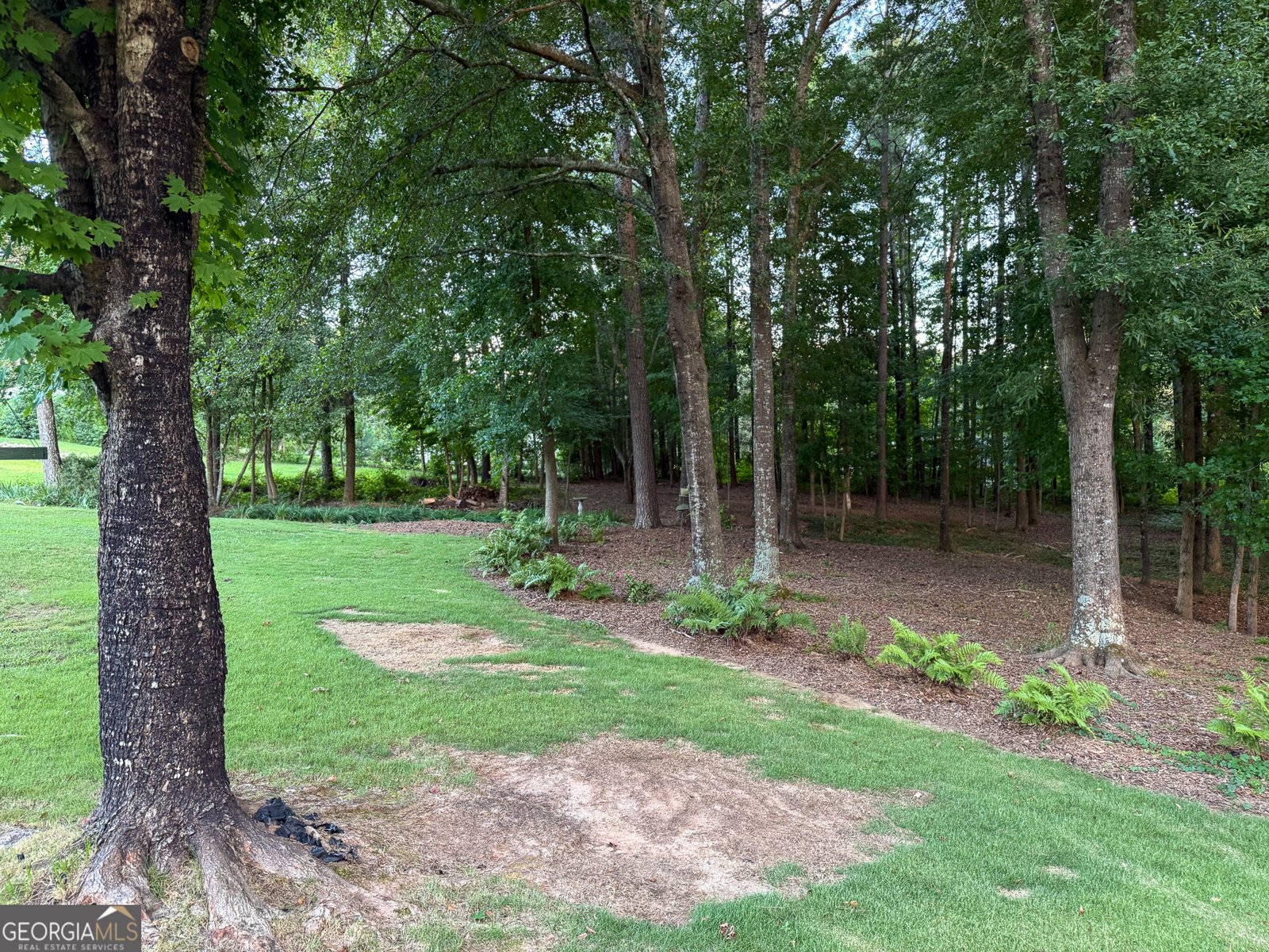 5380 Gum Creek Court Loganville - 33