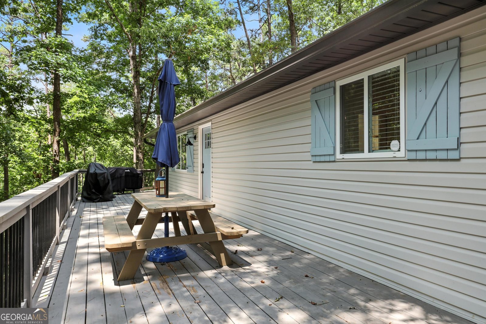 384 Cardinal Lane Toccoa - 29