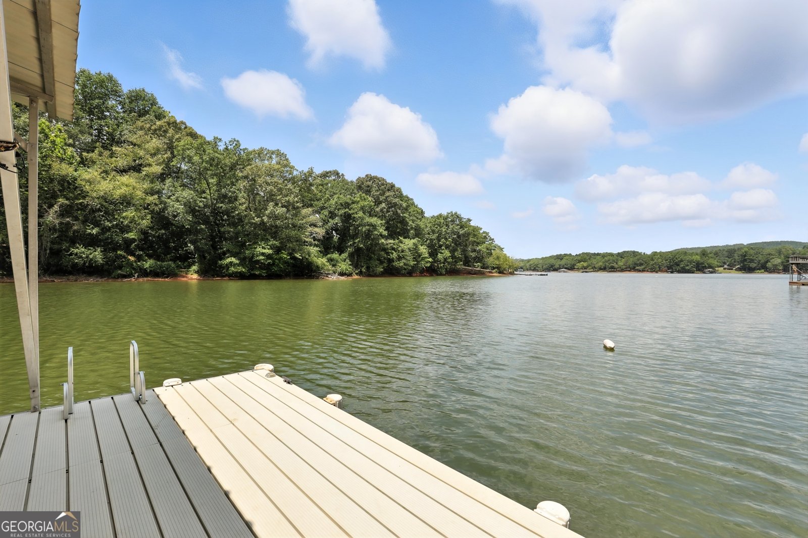 384 Cardinal Lane Toccoa - 36