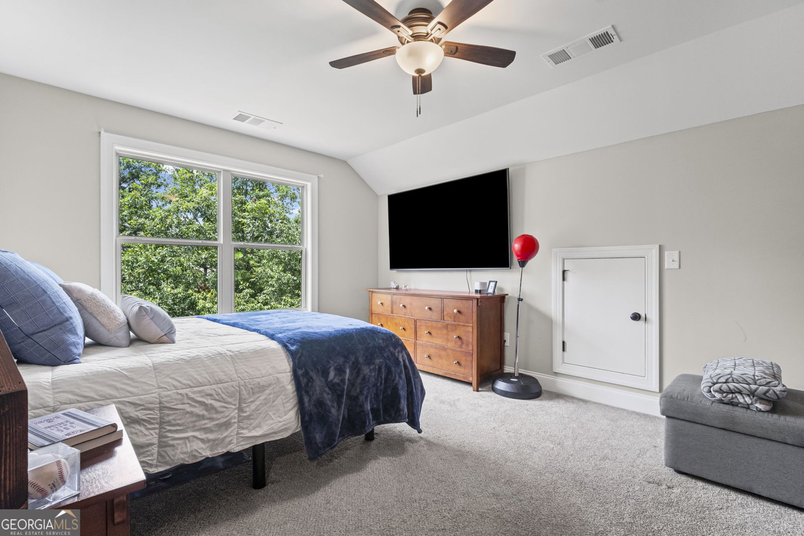 538 Black Horse Circle Canton - 34
