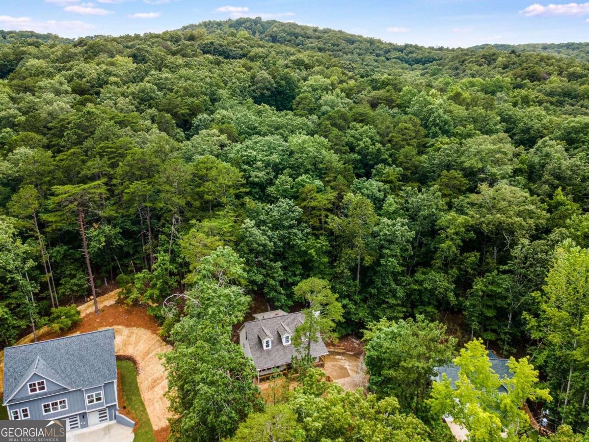 118 Council Oak Loop Waleska - 23