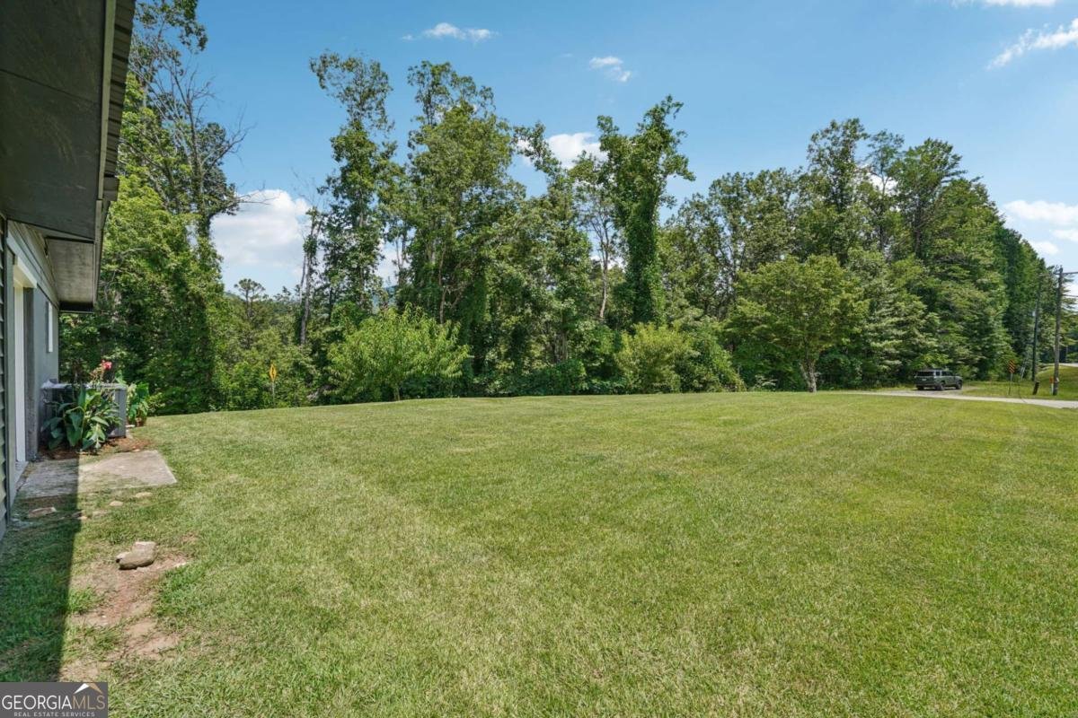 11 Antioch Cemetery Road Cleveland - 24