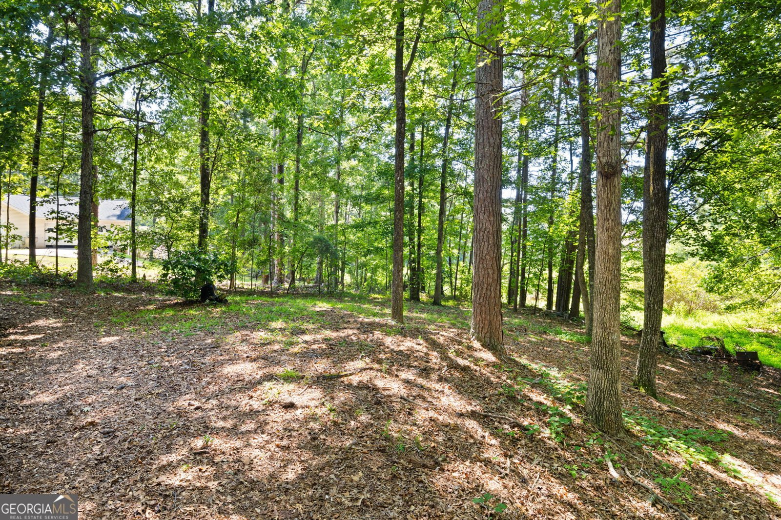 4531 Adams Court Rex - 32