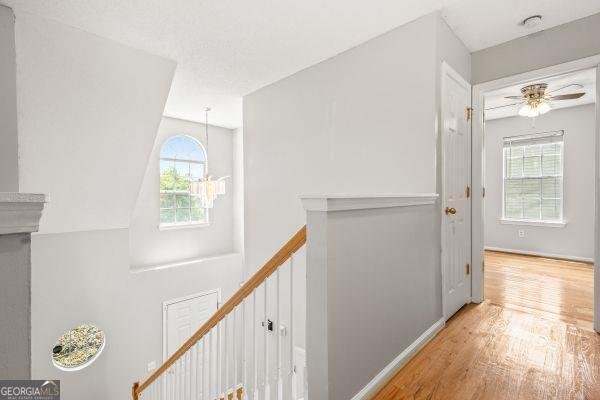 5873 Colonnade Rex - 19