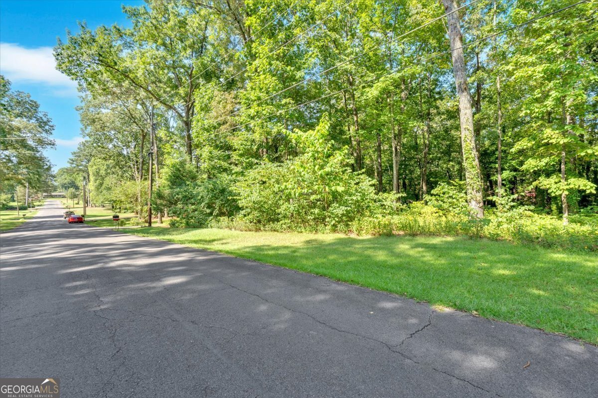 217 Cherokee Circle Cedartown - 46