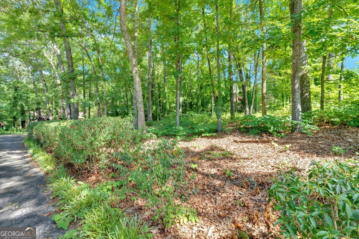 217 Cherokee Circle Cedartown - 47