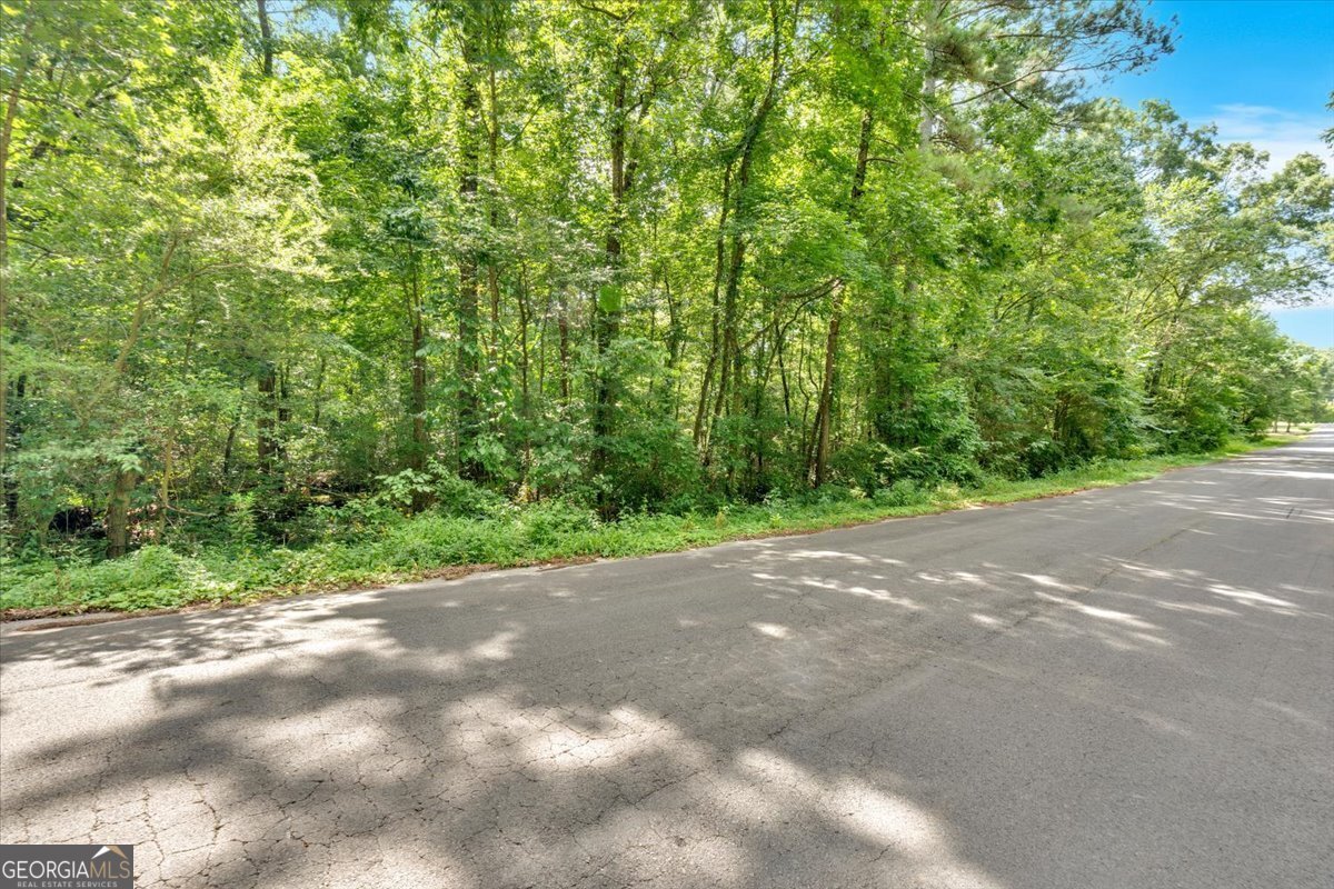 217 Cherokee Circle Cedartown - 48