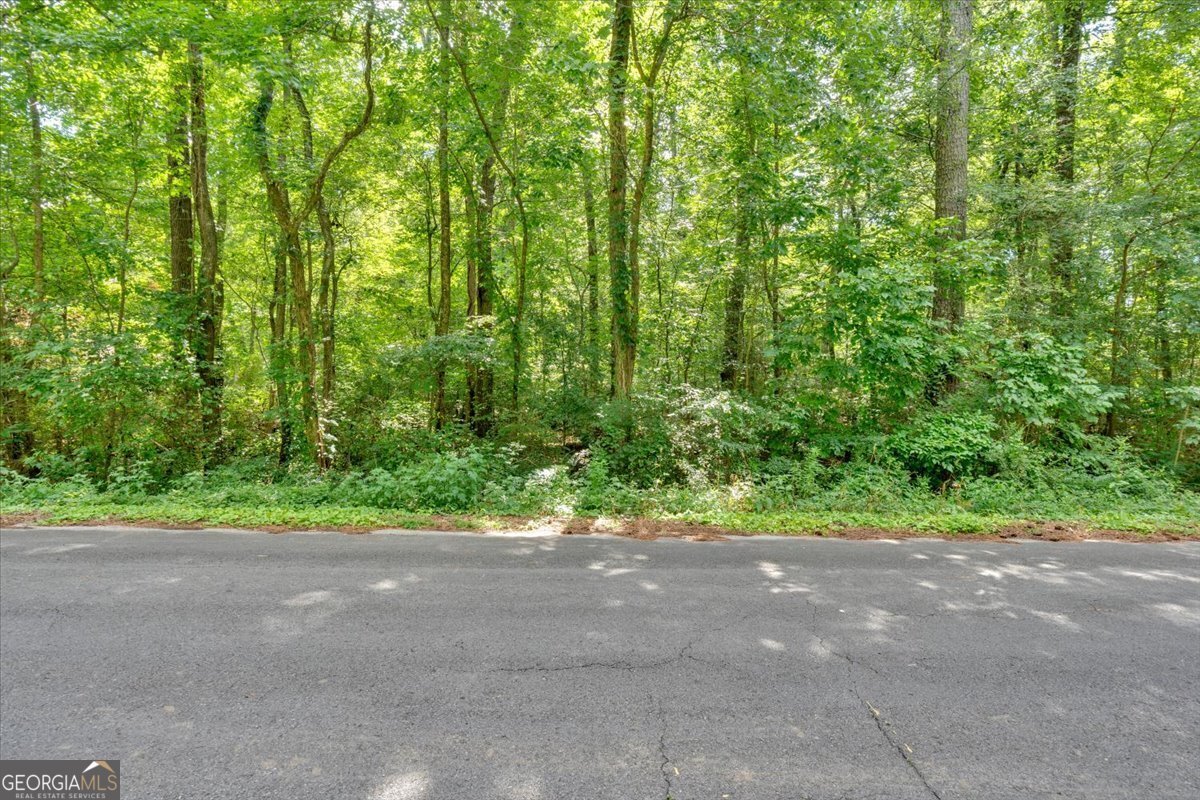 217 Cherokee Circle Cedartown - 49