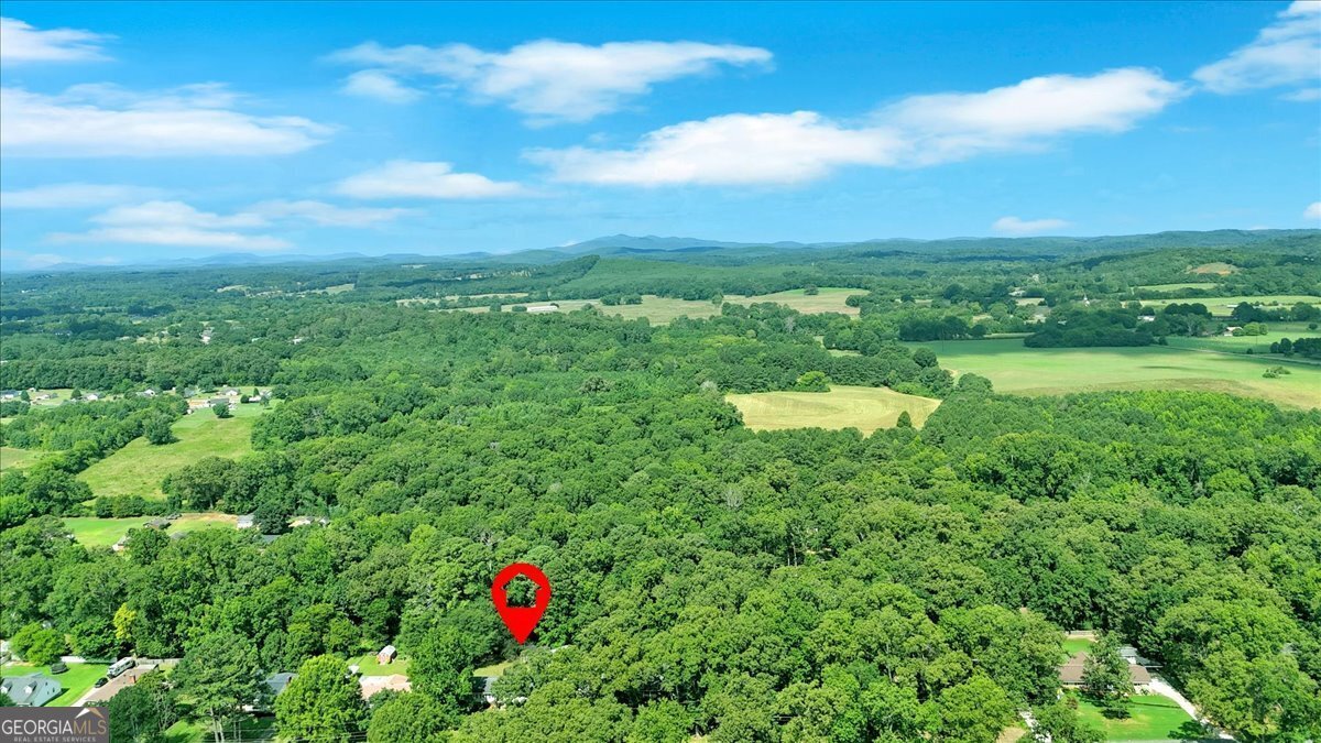 217 Cherokee Circle Cedartown - 51