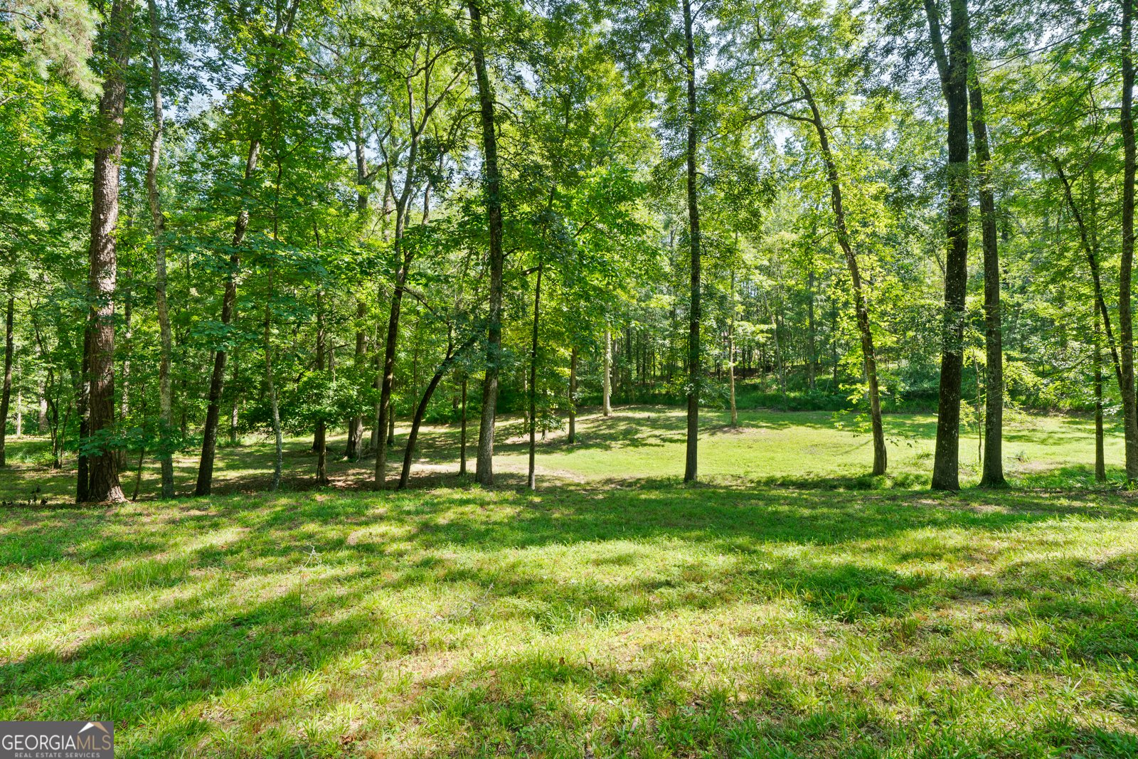 137 Colebrook Drive Macon - 62