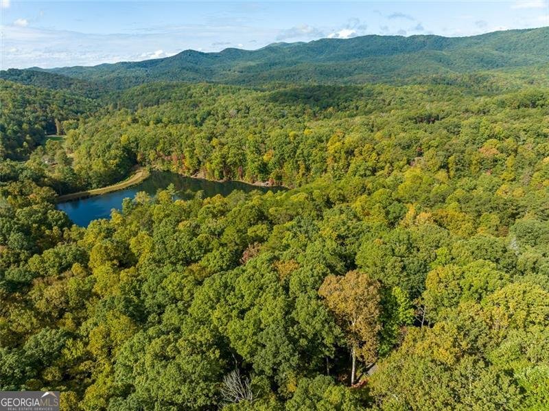 489 ARROWHEAD Pass Blue Ridge - 21