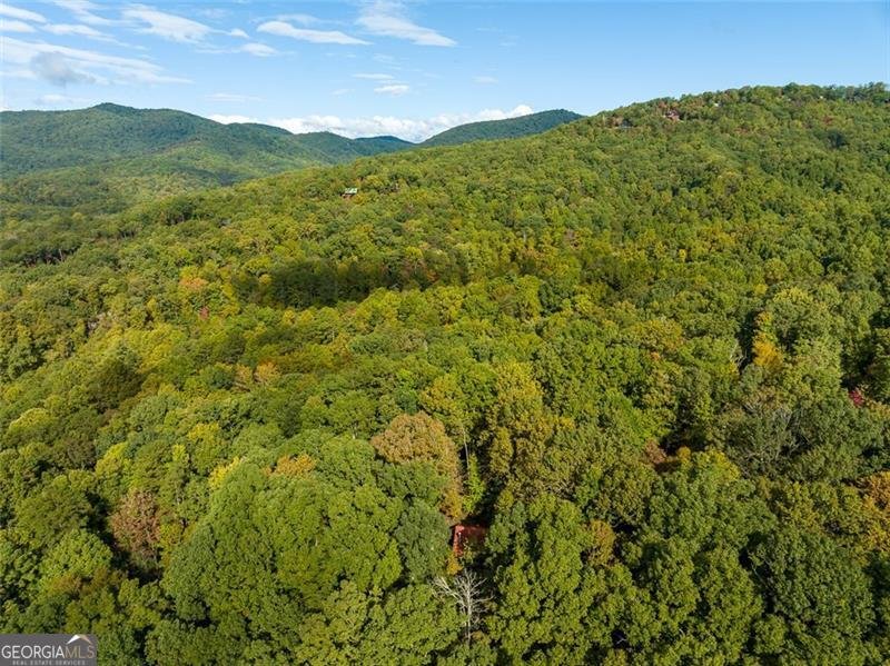 489 ARROWHEAD Pass Blue Ridge - 22