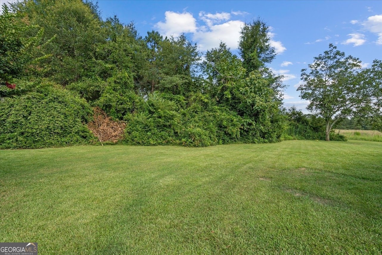 213 Poplar Street Bowdon - 29