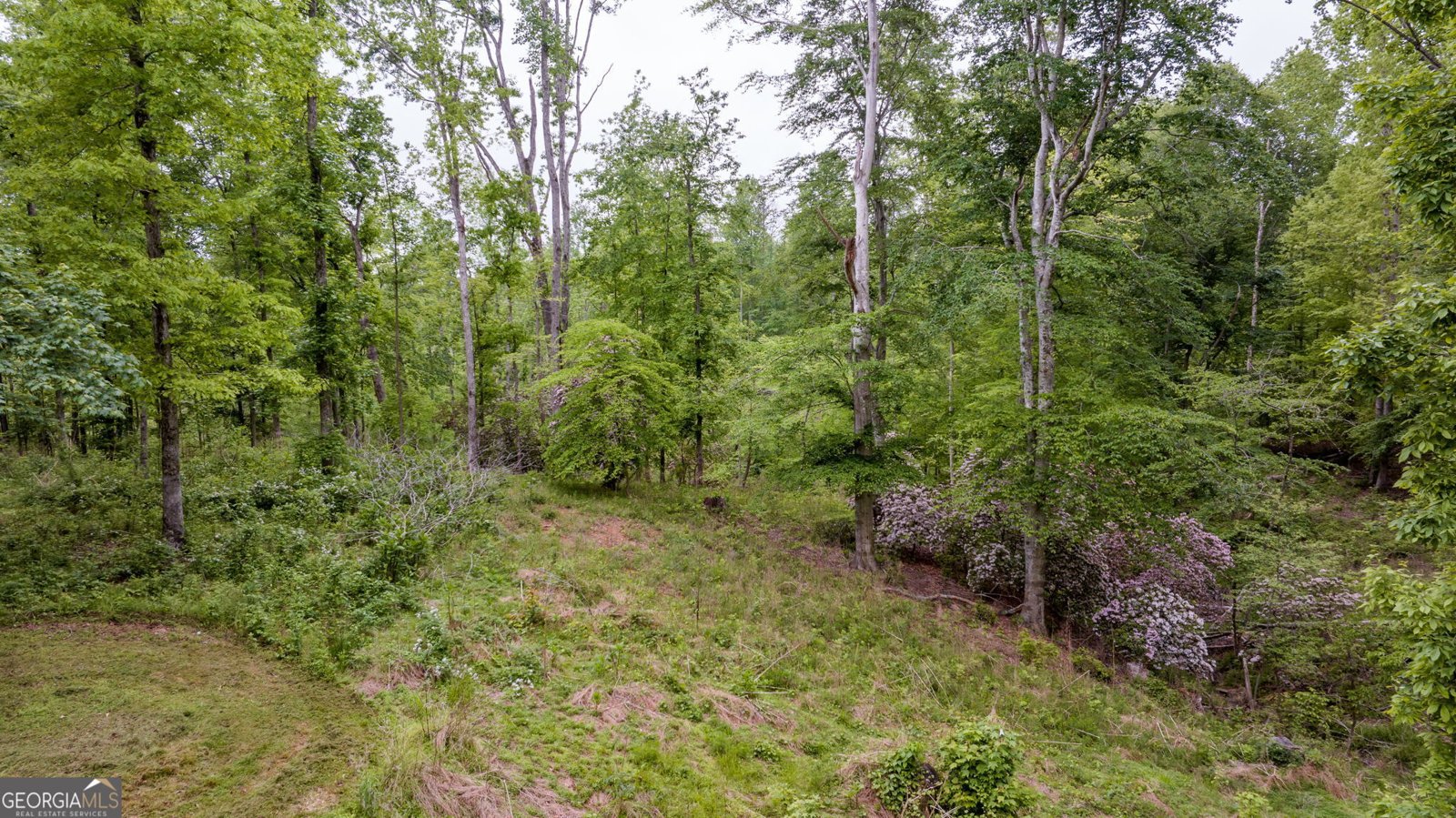 527 Louden Ridge Road Alto - 33