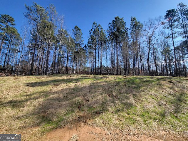 15 Fontana Court Covington - 18