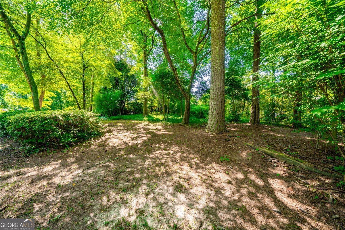 4361 Old Mabry Lane Roswell - 28
