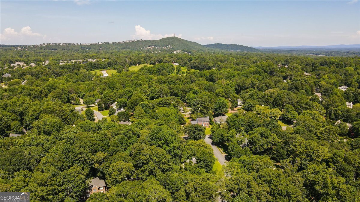 4361 Old Mabry Lane Roswell - 29