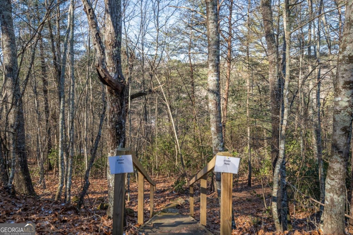 517 Ridge Road Blue Ridge - 2