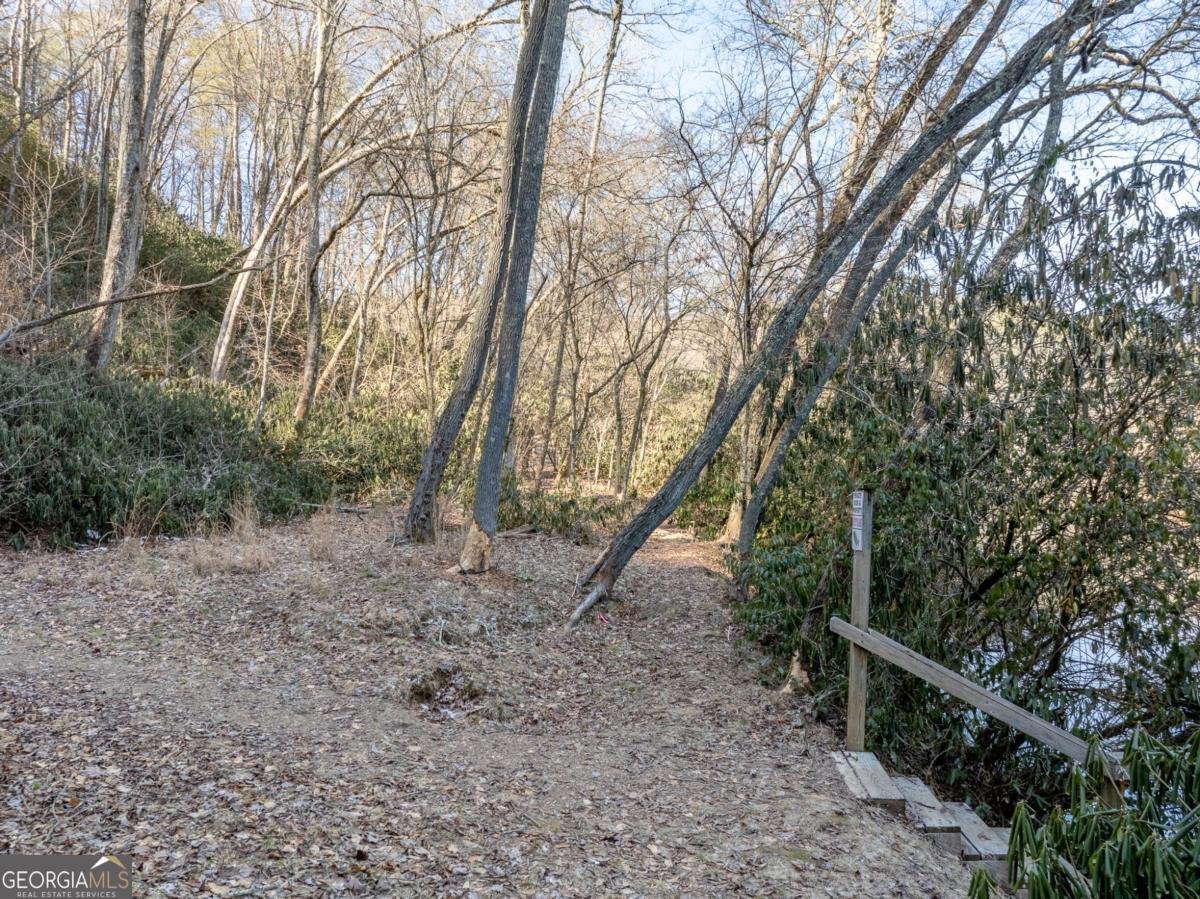 517 Ridge Road Blue Ridge - 41