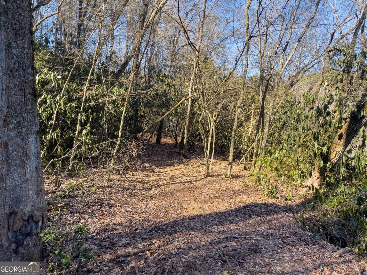 517 Ridge Road Blue Ridge - 5