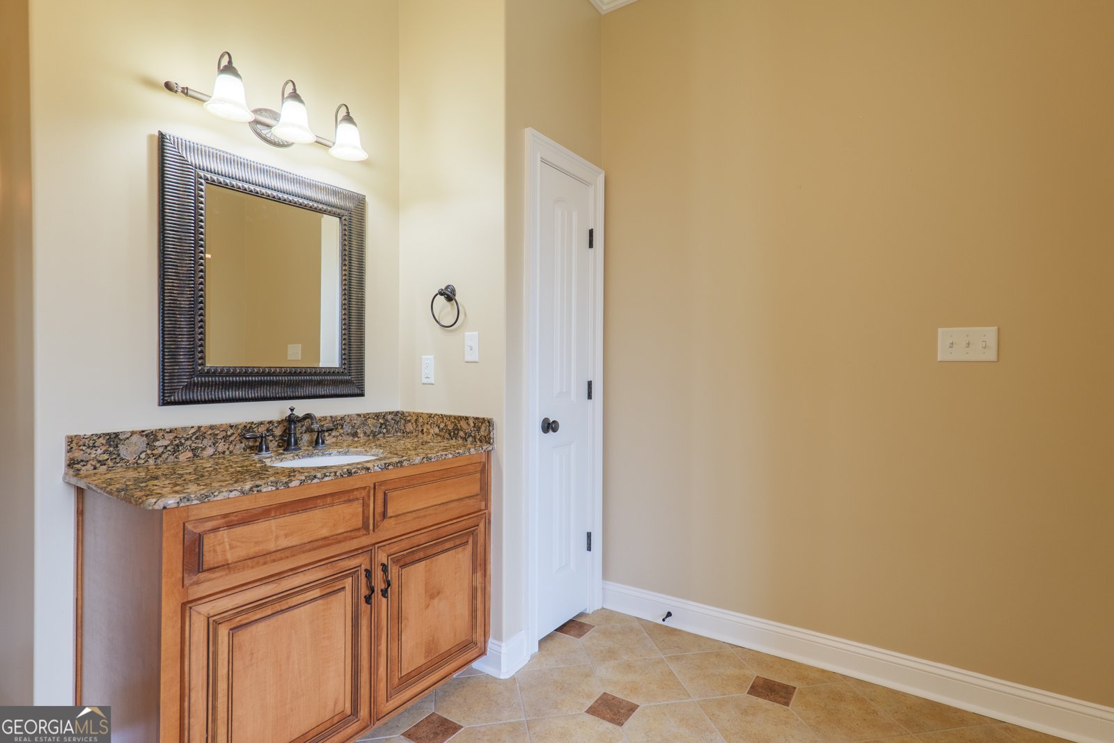 7323 Mill Ridge Drive Hahira - 24