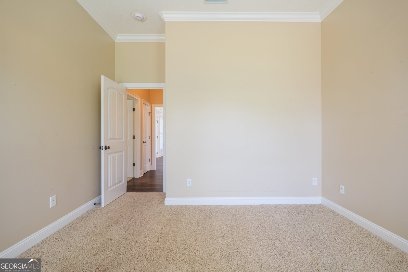 7323 Mill Ridge Drive Hahira - 32