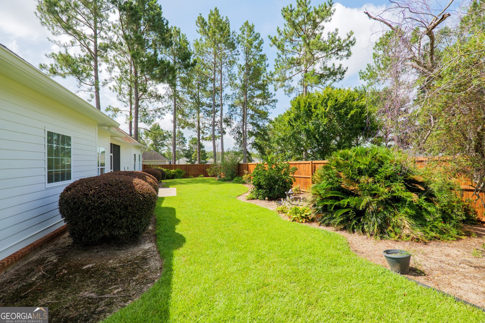 7323 Mill Ridge Drive Hahira - 39